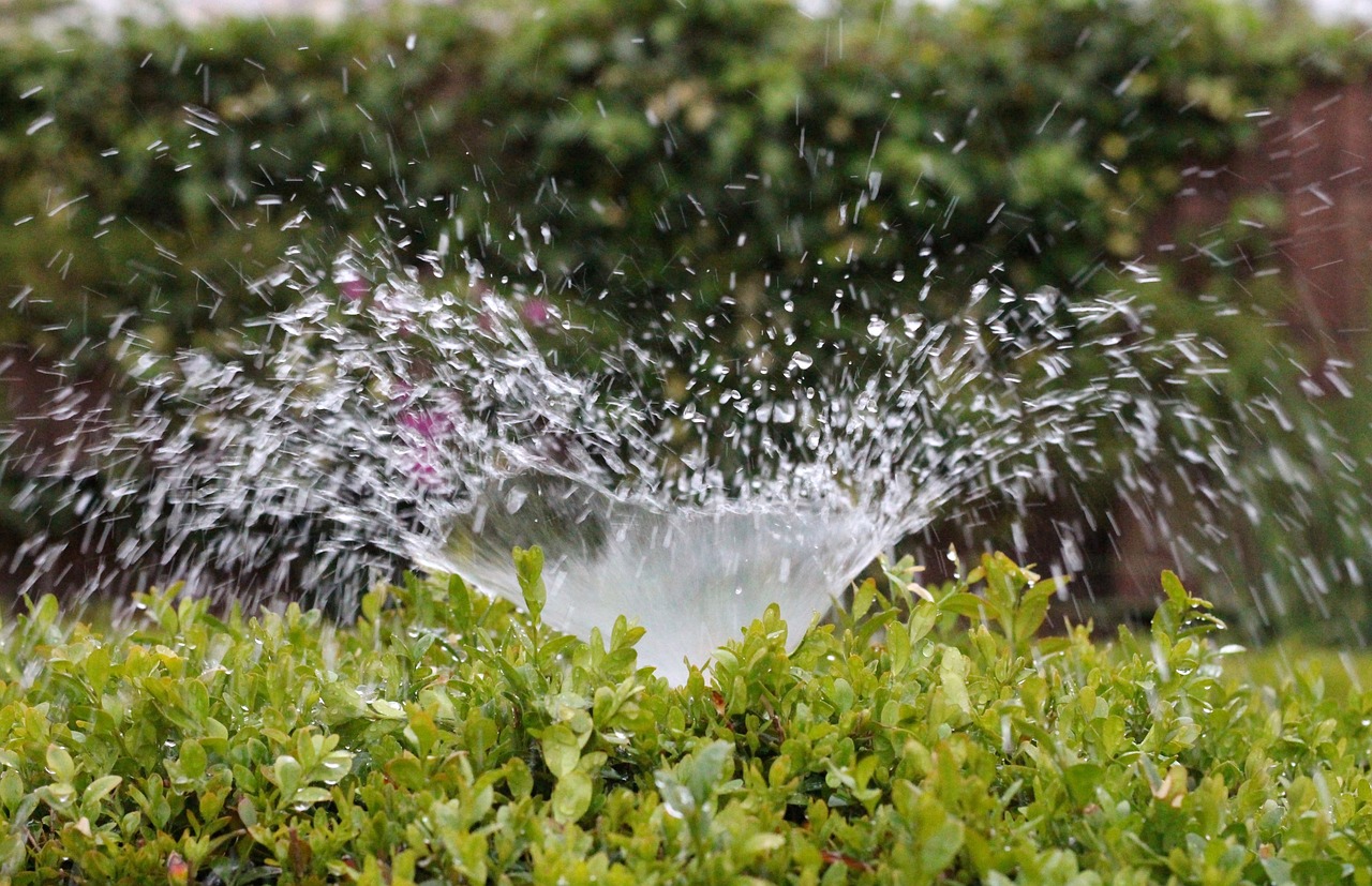 irrigation, splash, water