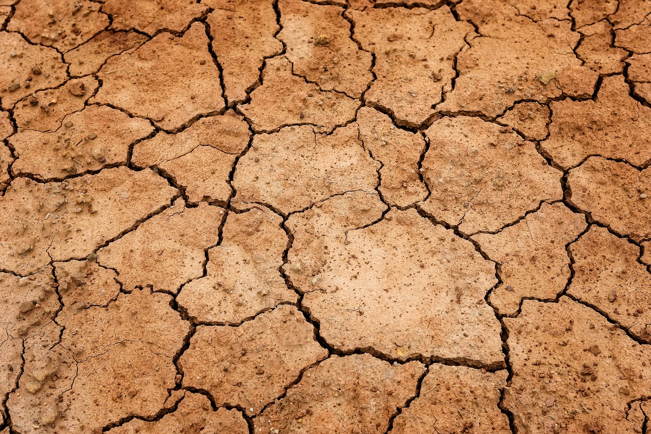 earth, drought, floor