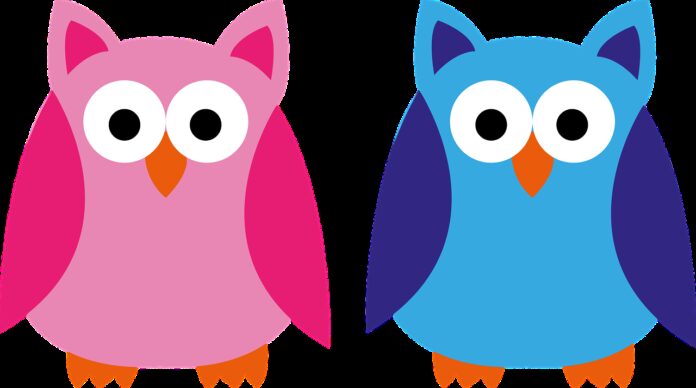 owl, blue, pink