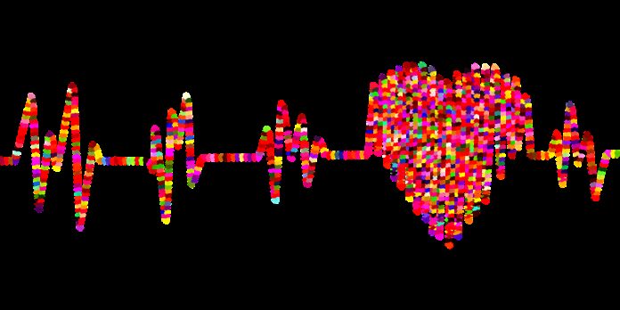 electrocardiogram, blood pressure, ekg