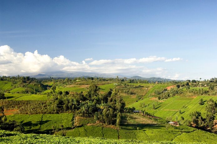 kenya, landscape scenic, mountains